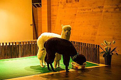 卡普空发布情人节贺图 并宣布《生化危机3 重制版》永久降价